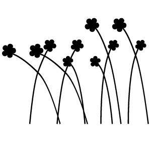 Fleurs6